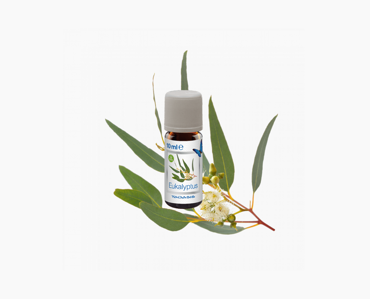 Zestaw BIO-olejków Venta Taoasis Exclusive N°1 – pomarańcza, eukaliptus, grejpfrut/drzewo sandałowe