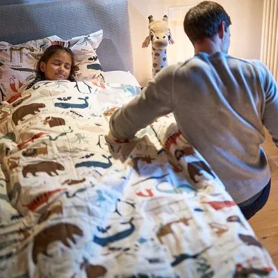 Oczyszczacz powietrza AP735 Aerostyle Compact